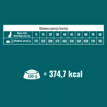 PUPIL Prime Bogata w wołowinę z warzywami - sucha karma dla psów - 10kg