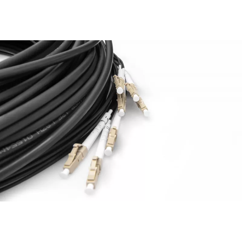 Digitus Pre-assembled Fiberglass Universal Breakout kabel OM4 8 Fibers LC/UPC 75m