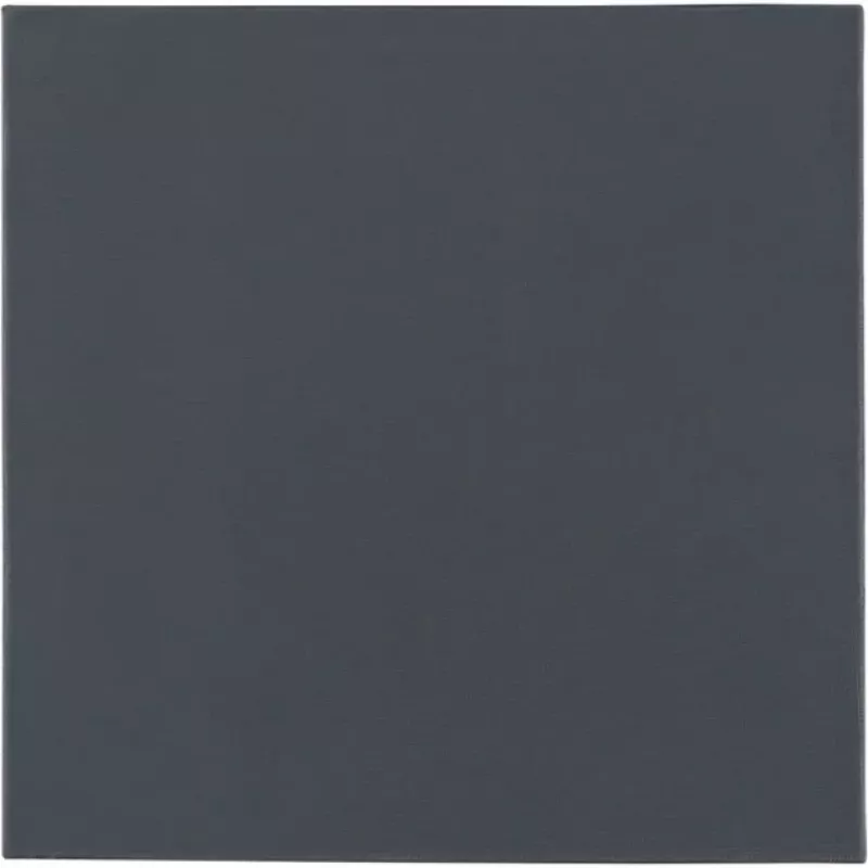 Thermal Grizzly Minus Pad Pro, 100 x 100 x 2.0 mm