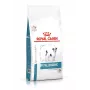 Sucha karma dla psa Royal Canin Anallergenic Small 1,5 kg — hipoalergiczna formuła dla dorosłych psów małych ras