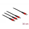 Kabel do ładowania USB DeLOCK 86710 3 w 1 USB Type-C do Lightning Micro USB 30 cm Czarny Czerwony