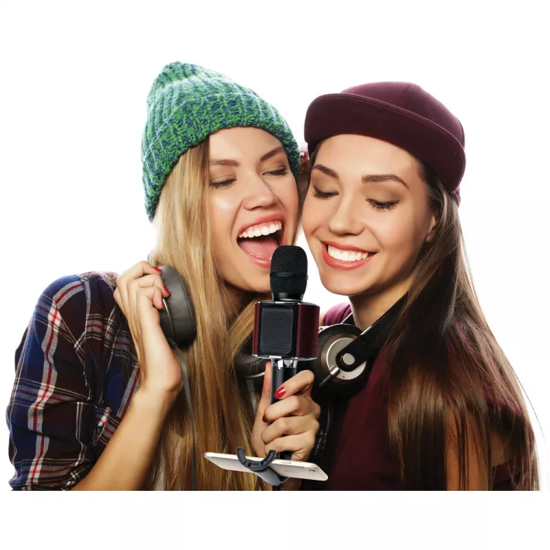 LENCO BMC-090 karaoke microphone, black