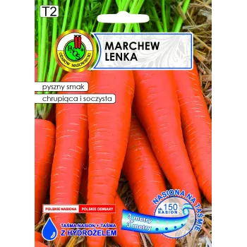 Taśma nasienna Apte Marchew LENKA 6 m — taśma nasienna marchwi do siewu