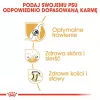 Sucha karma dla psa Royal Canin German Shepherd Adult, 11 kg — duża rasa, drób, 24% białka, 19% tłuszczu