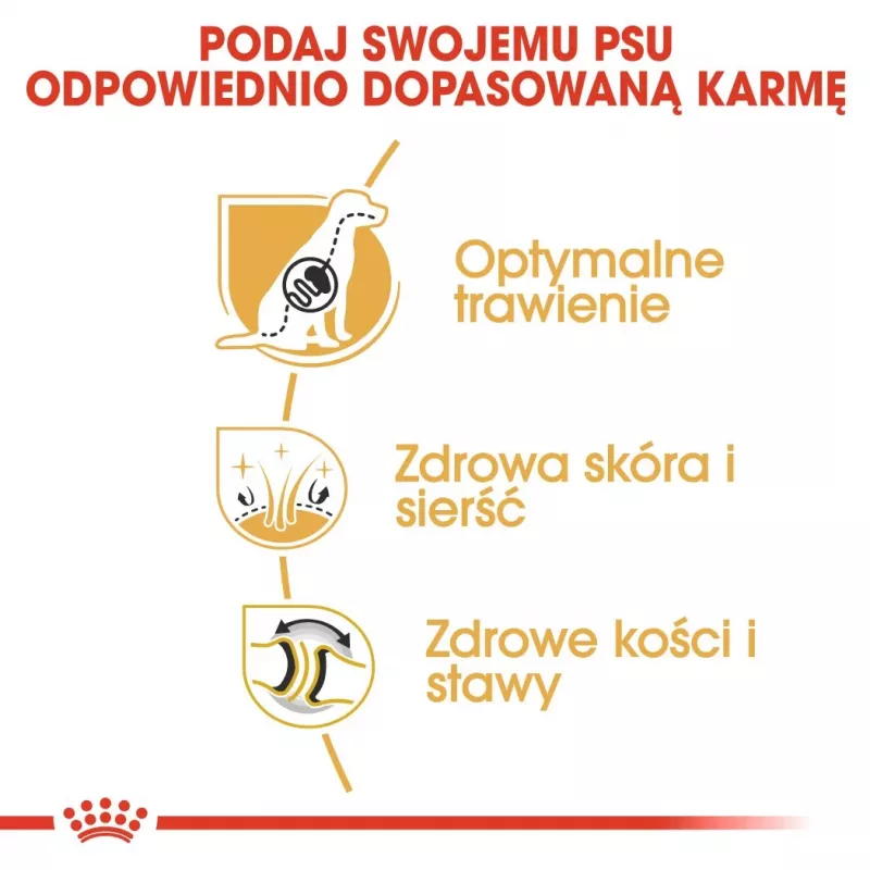 Sucha karma dla psa Royal Canin German Shepherd Adult, 11 kg — duża rasa, drób, 24% białka, 19% tłuszczu