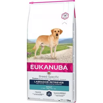 Sucha karma dla psów EUKANUBA Adult Labrador Retrievers 12 kg — Kurczak i indyk, 23% białka, 13% tłuszczu
