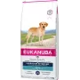 Sucha karma dla psów EUKANUBA Adult Labrador Retrievers 12 kg — Kurczak i indyk, 23% białka, 13% tłuszczu