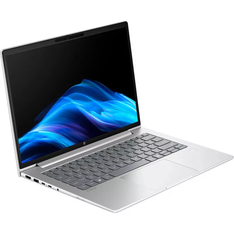 Probook 4 G1a (C07P4ES), Notebook srebrny, AMD Ryzen 5 230, AMD Radeon 760M, 16 GB DDR5, 512 GB (512 GB SSD), Windows 11 Pro