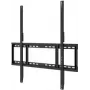 Uchwyt OPTOMA TECHNOLOGY do wyświetlaczy N (H1AX00000257)