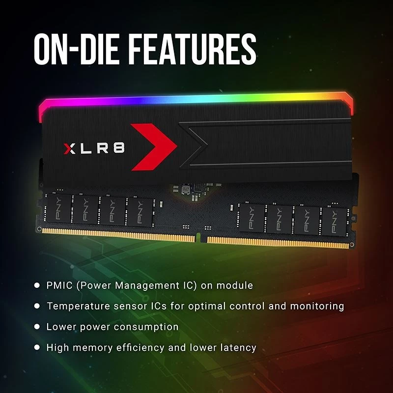 Pamięć PNY DDR5 32 GB 5600 BULK