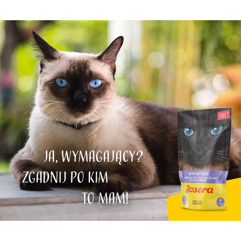 JOSERA Filet z kurczaka z cielęciną - mokra karma dla kotów - 70 g