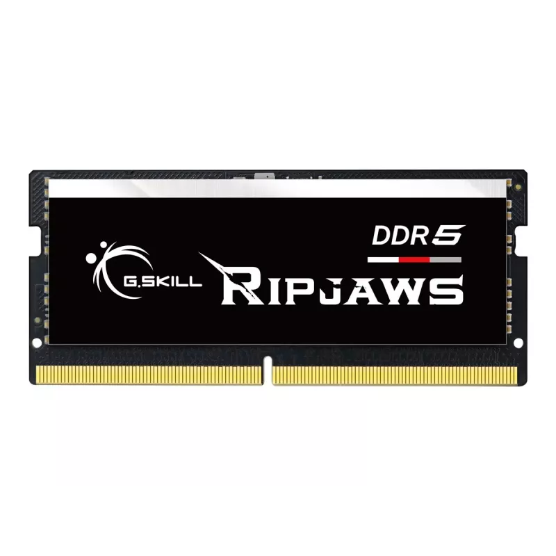G.Skill Ripjaws F5-4800S4039A16GX1-RS memory module 16 GB 1 x 16 GB DDR5 4800 MHz