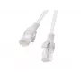 Lanberg PCU6-20CC-0025-S kabel sieciowy Szary 0.25 m Cat6 U/UTP (UTP)