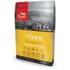 ORIJEN Puppy - sucha karma dla psa - 6kg