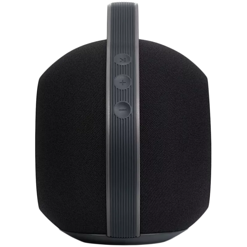 Przenośny głośnik stereo Devialet Mania 95 dB