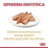 ROYAL CANIN Shih Tzu karma mokra dla psów dorosłych Pasztet 12x85 g