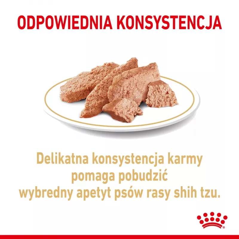ROYAL CANIN Shih Tzu karma mokra dla psów dorosłych Pasztet 12x85 g