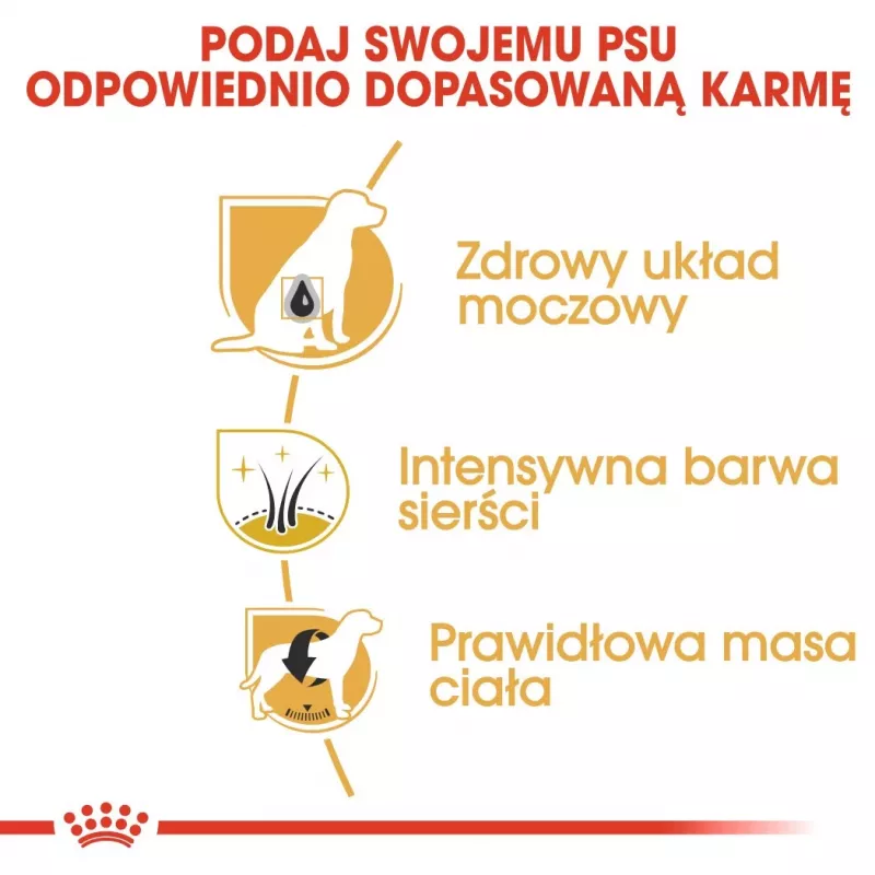 Sucha karma dla psa Royal Canin Miniature Schnauzer Adult, drób, 3 kg, dla małych ras