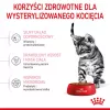 Sucha karma dla kota Royal Canin Kitten Sterilised 3,5 kg — drób, 34% białka, 12% tłuszczu