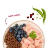 BOSCH Sanabelle Adult Chicken & Blueberries - sucha karma dla kota - 2kg