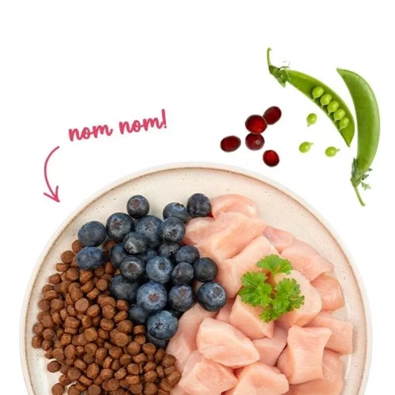 BOSCH Sanabelle Adult Chicken & Blueberries - sucha karma dla kota - 2kg