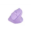 Mysz NATEC Crake 2 Uniwersalna Praworęczna RF Wireless + Bluetooth Optyczna 2400 DPI