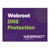 Webroot | DNS Protection with konsolą GSM | 2 lata | Licencja 1-9 użytkowników
