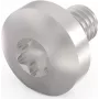 Schroff Torx Screw M4X6 E/PRO (100PCS/KIT) (24560151)