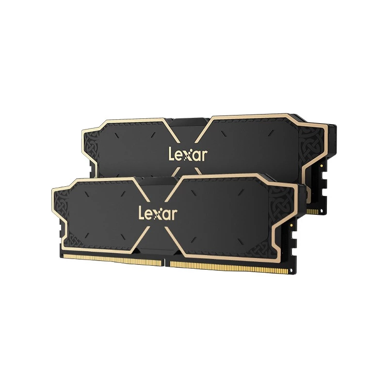 Lexar LD5U08G60C38LG-RGD Memory Module