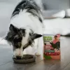 ANIMAL ISLAND Mono-Protein Turkey dla psów 300g
