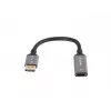 Adapter kabla wideo Lanberg AD-DP-HD-04 0,2 m DisplayPort HDMI
