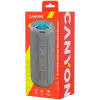 Canyon CNE-CBTSP15BG Głośnik przenośny Beżowy