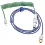 Kabel USB Ducky Premicord 1,8 m USB A USB C Niebieski Zielony