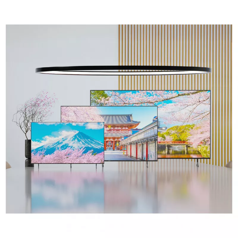 164,0cm/65 (3840x2160) JAPANNEXT JN-IPS650UHD60F 16:9 IPS 60Hz HDMI USB WLAN Głośnik Czarny
