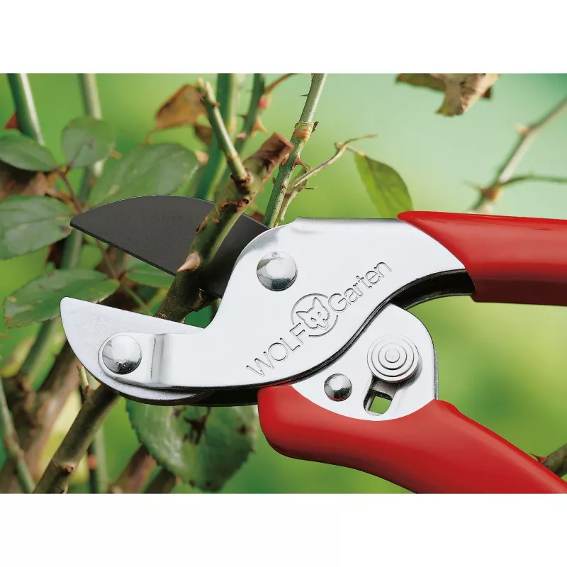 Nożyce do krawędzi trawnika Wolf garten RS-EN, model 7210060