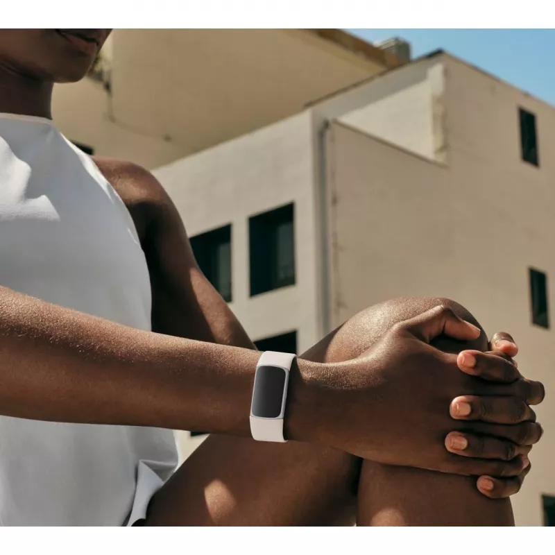 Fitbit GA05185-EU Produkt Srebrny