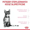 Sucha karma dla kota Royal Canin Kitten Sterilised 3,5 kg — drób, 34% białka, 12% tłuszczu