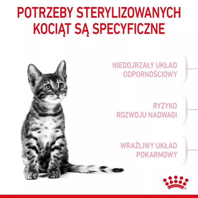 Sucha karma dla kota Royal Canin Kitten Sterilised 3,5 kg — drób, 34% białka, 12% tłuszczu