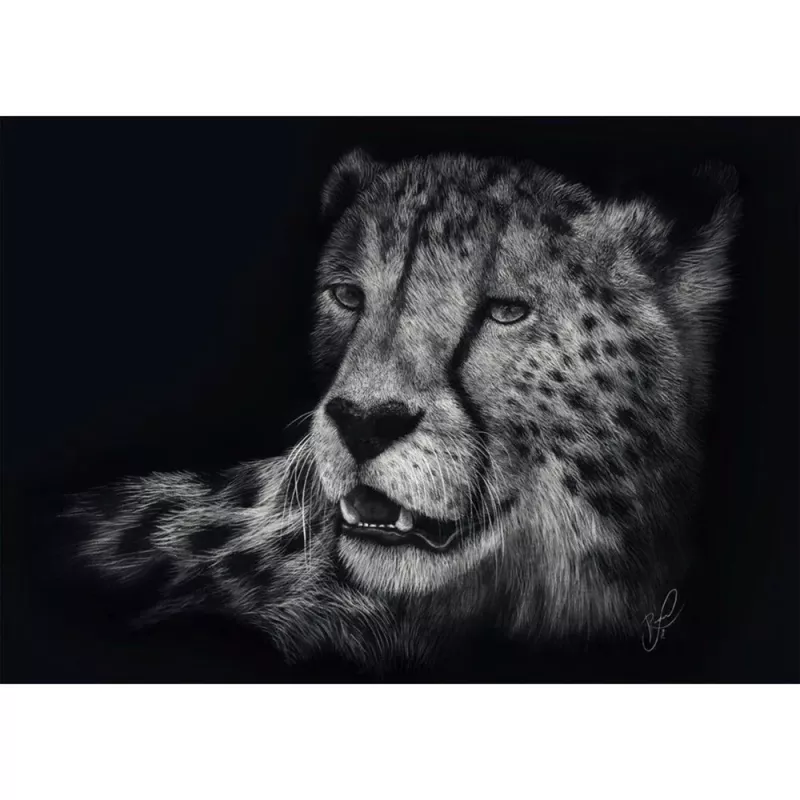 Ashley Rader: Speed - Gepard, W znaku łaski, Puzzle 1000 elementów