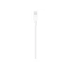 Apple Lightning do USB kabel 1m MUQW3ZM/A