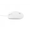 Mysz NATEC NMY-1988 USB Typ-A Optyczna