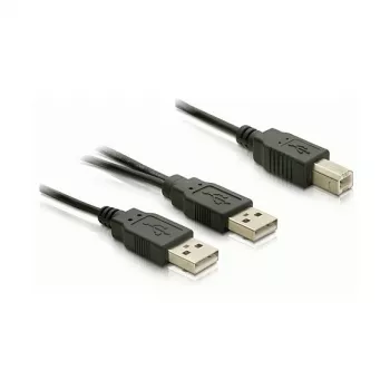 Kabel DELOCK USB 2.0 B -> USB-A Power + Power / Data