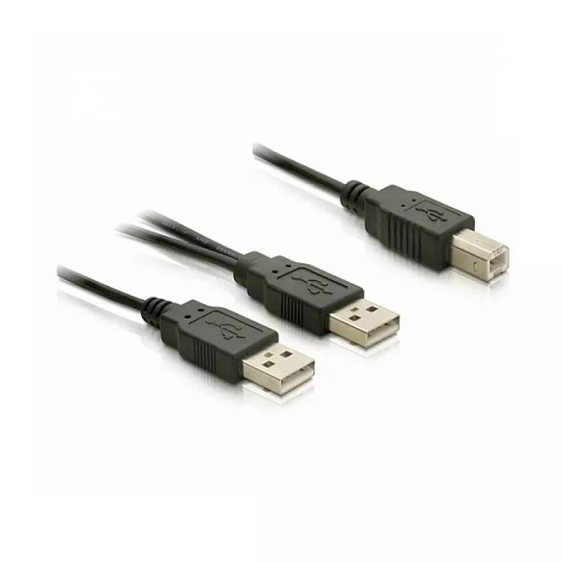 Kabel DELOCK USB 2.0 B -> USB-A Power + Power / Data