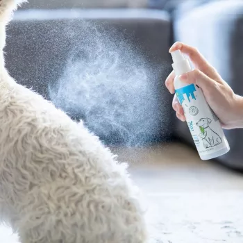 Odżywka VETEXPERT Detox Care Pure biały 150 ml — detoksykująca, rozjaśniająca dla dorosłych kotów o białej sierści