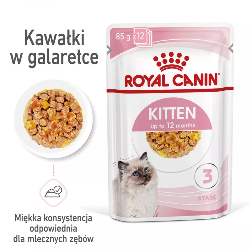 Mokra karma dla kociąt Royal Canin Kitten Jelly 85 g — smak kurczaka, saszetka 85 g, 12 szt.