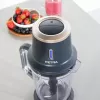 Blender kielichowy Petra PT5393BGRYVDE