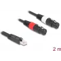Kabel audio DeLOCK 88176 2 m RJ-45 2 x XLR 3-pin Czarny