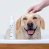 Szampon hipoalergiczny VETEXPERT 250 ml dla psów i kotów — oczyszczający, wszystkie rodzaje sierści, każdy wiek