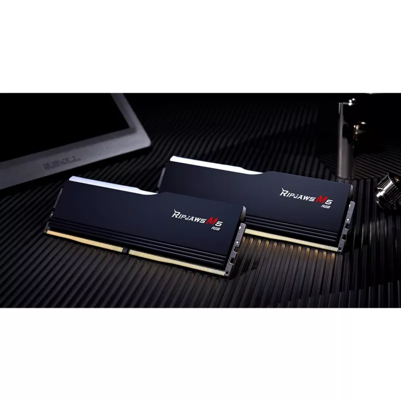 DIMM 48 GB DDR5-5200 (2x 24 GB) Dual-Kit, Arbeitsspeicher schwarz, F5-5200J4040A24GX2-RM5RK, Ripjaws M5, INTEL XMP