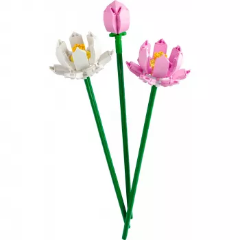 Zestaw konstrukcyjny LEGO 40647 Kwiaty lotosu — Kolekcja botaniczna, model modułowy, 220 elementów, wysokość 300 mm, wiek 8+